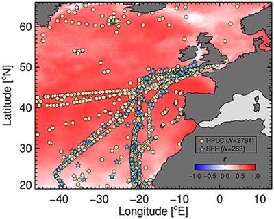 Uncertainty in Ocean-Color Estimates of Chlorophyll for Phytoplankton Groups